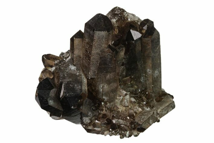 Dark Smoky Quartz Crystal Cluster - Brazil #134944